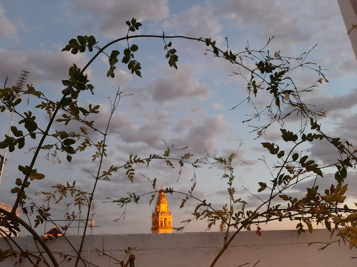 Ático en calle Blanco Belmonte, 15 - Foto 26