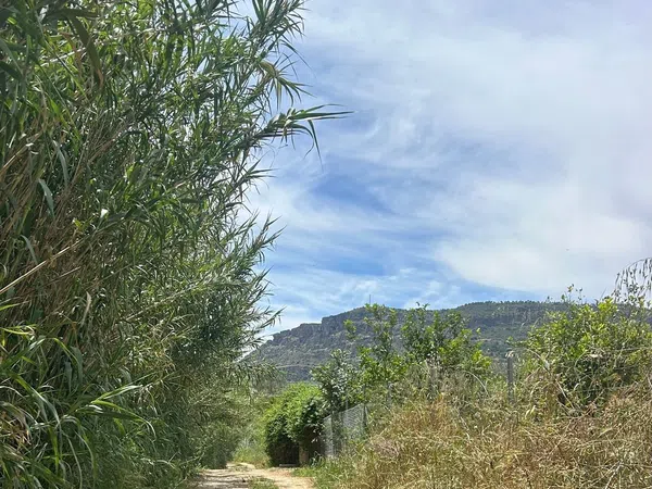 Finca rústica en Diseminado Poligono, 38 - Foto 39
