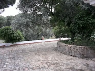 Finca rústica en  Avenida de Andalucía 7 - Foto 3