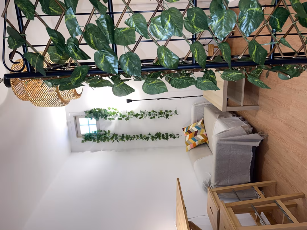 Estudio en  Calle de la Ribera de Curtidores 4