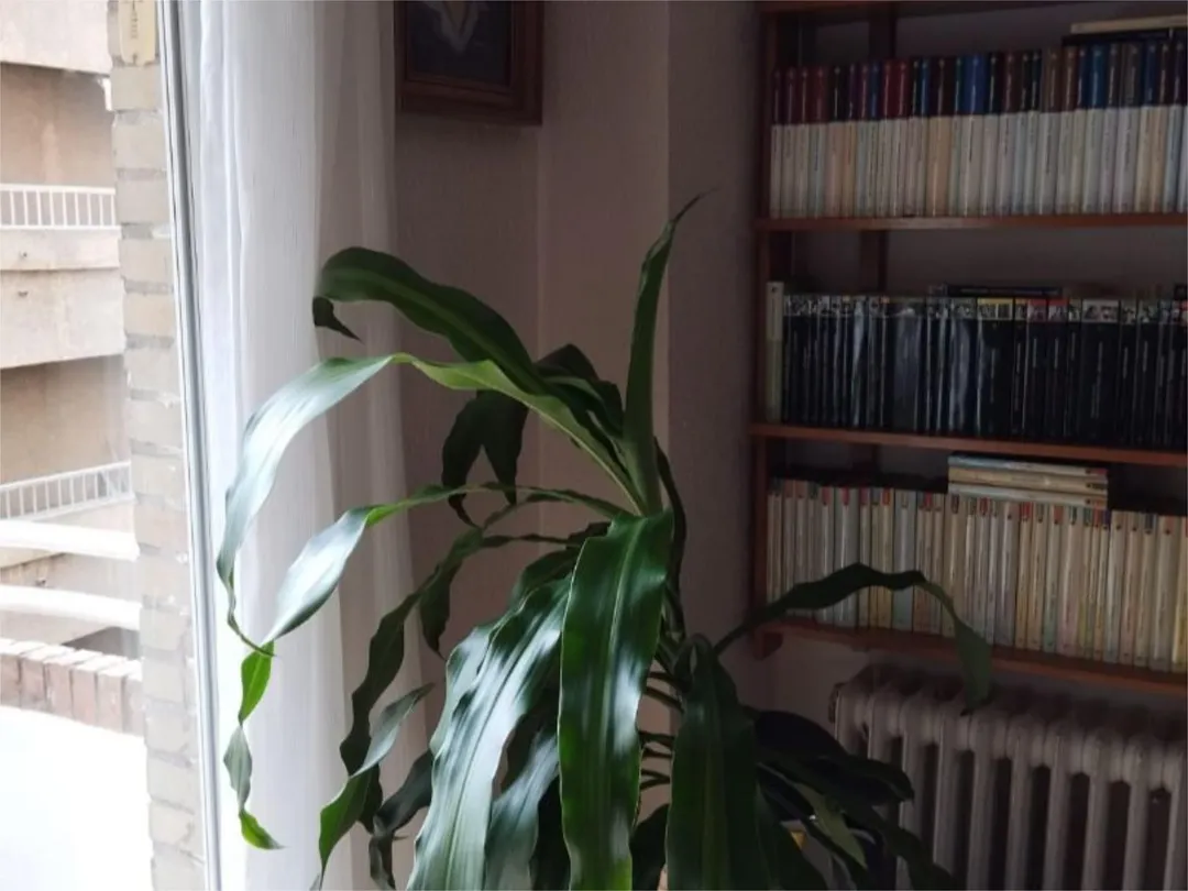 Piso en  Calle Conde Cifuentes 33 - Foto 16