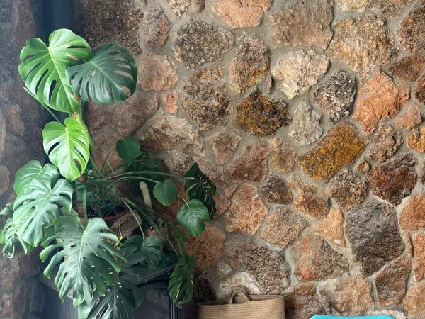 Casa o chalet independiente en Calle Jacint Verdaguer, 35, El Castell de Cubelles, El Castell de Cubelles - Foto 8