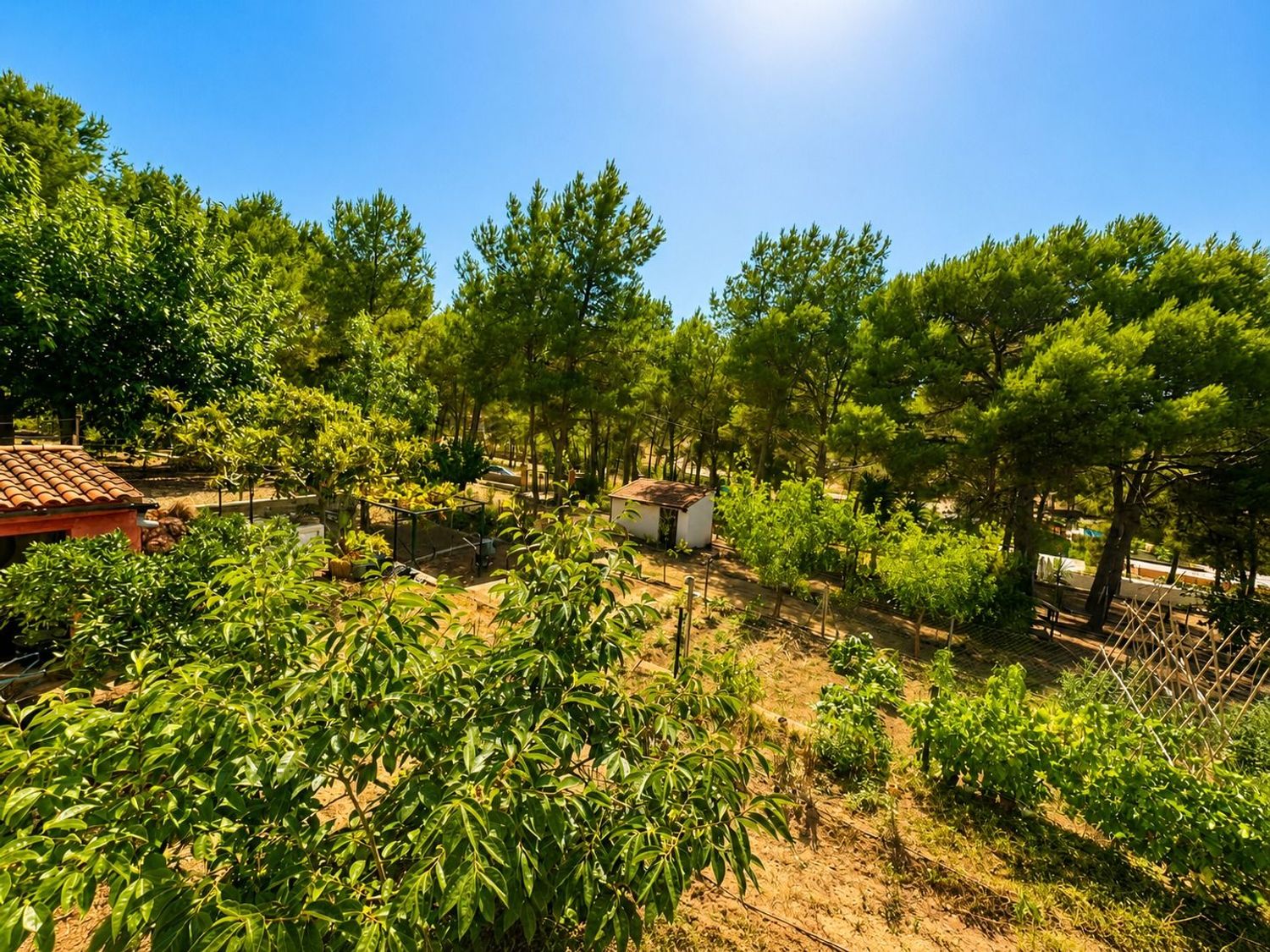 Finca rústica en Poligono 1, 513 parcela - Foto 34