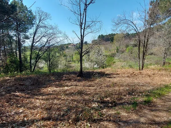 Casa o chalet independiente en Carretera Forestal de la Pregonera, 924 Av - Foto 2