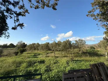 Finca rústica en  Camí de Galdent 585 - Foto 5