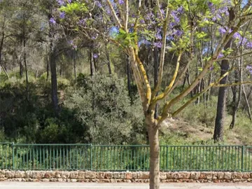 Estudio en  Carrer de Josep Ventayol 7 - Foto 7