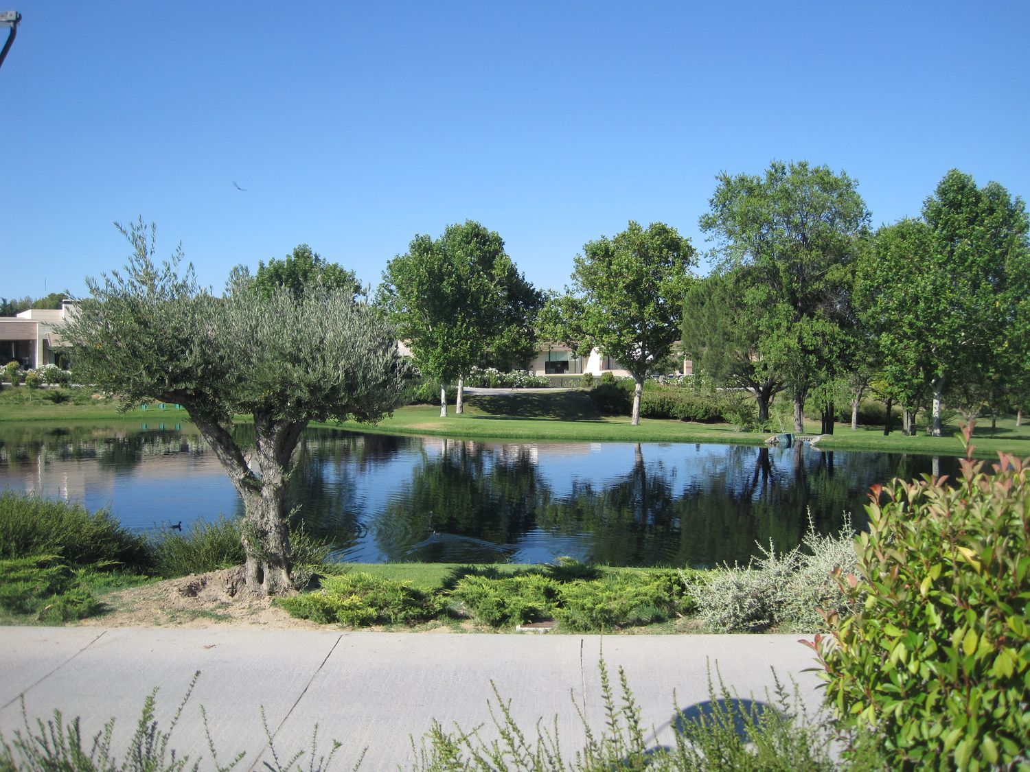 Casa o chalet independiente en Paseo de los Lagos, 1, La Finca - Foto 36