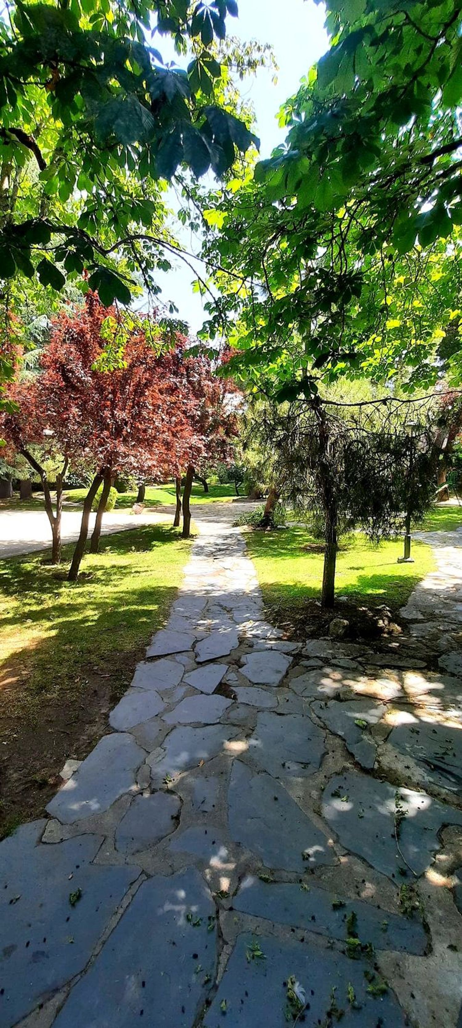 Piso en M-601, 10, Dehesa - El Soto, Dehesa - El Soto - Foto 16