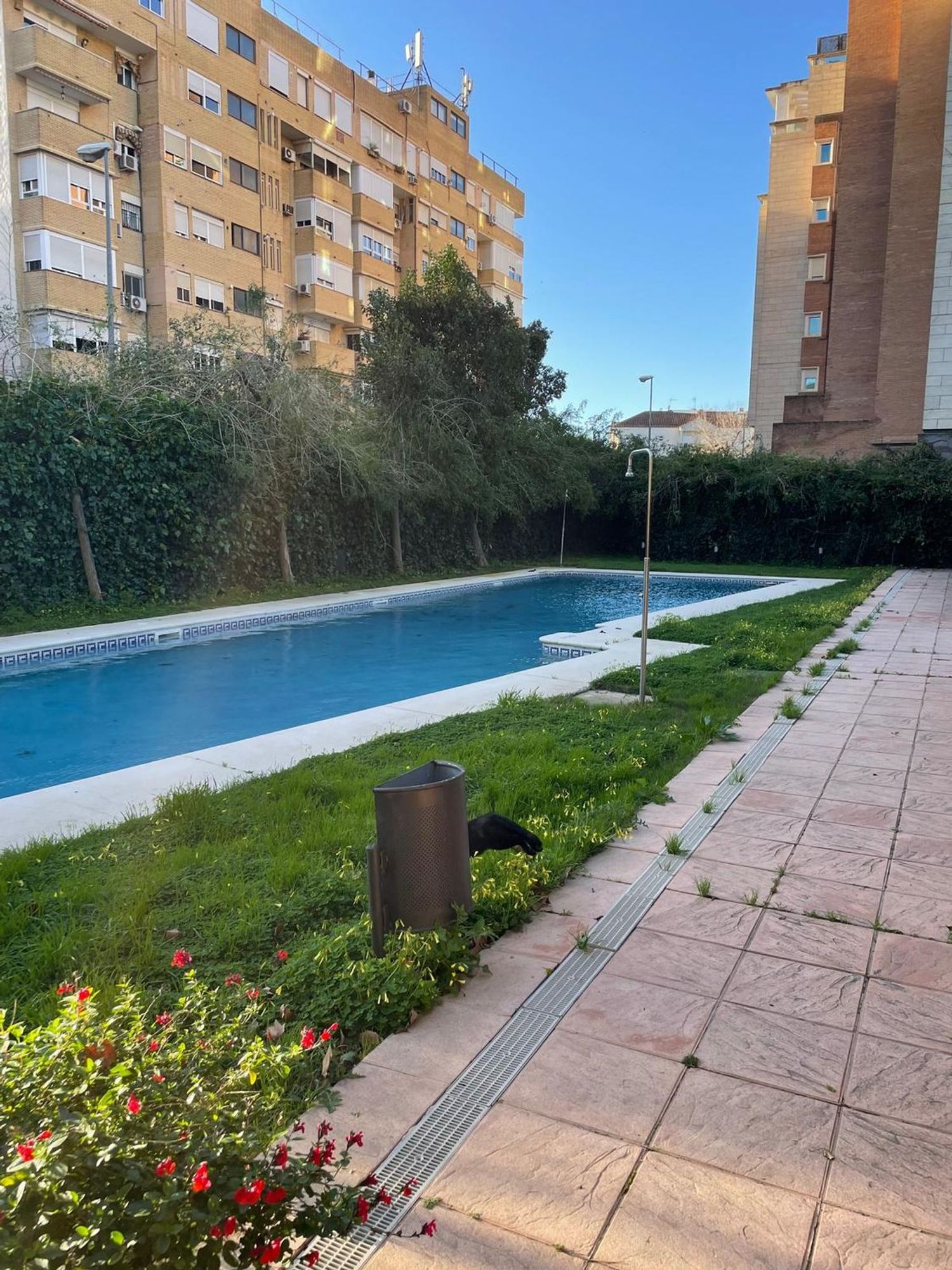 Piso en Avenida Concejal Alberto Jiménez-Becerril, 25 - Foto 15