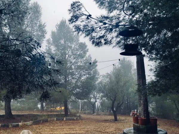 Finca rústica en Urbanización Cruz del Maigmó, 21 - Foto 7