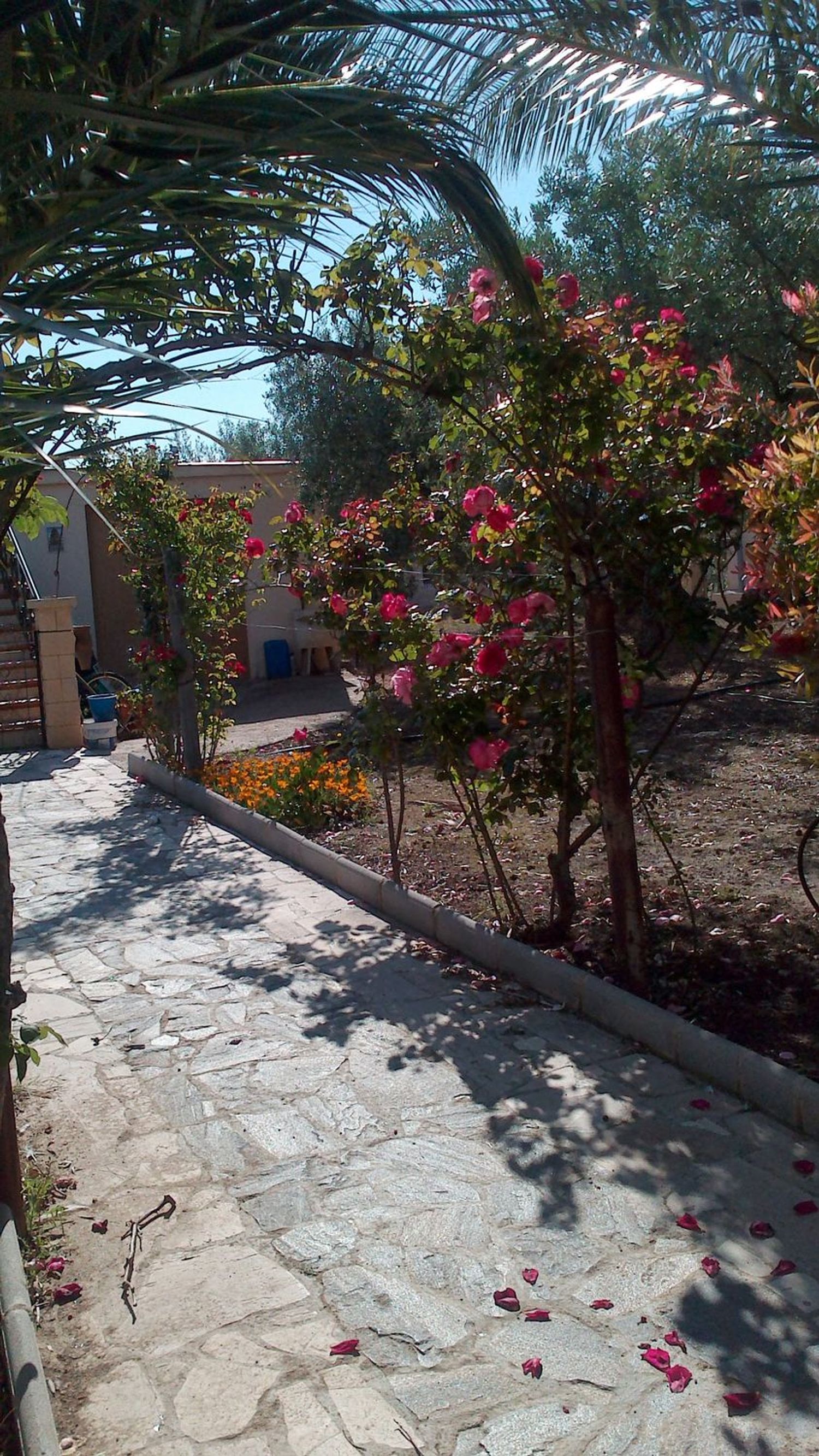Casa o chalet independiente en Polígono 8 parcela 7 s/n - Foto 2