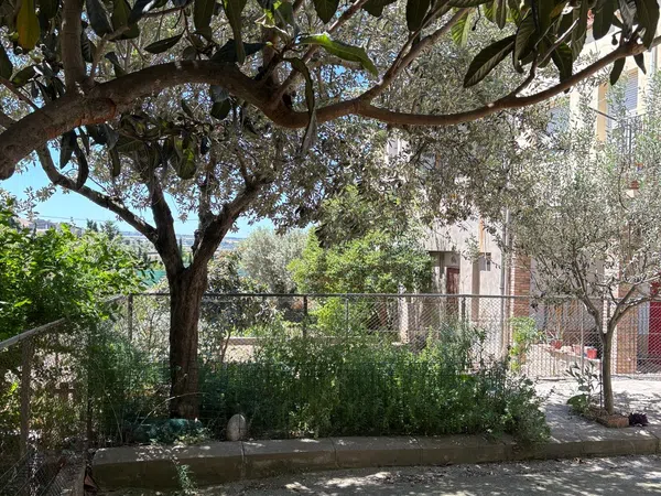 Casa o chalet independiente en Avenida de Vallfogona, 13 - Foto 14