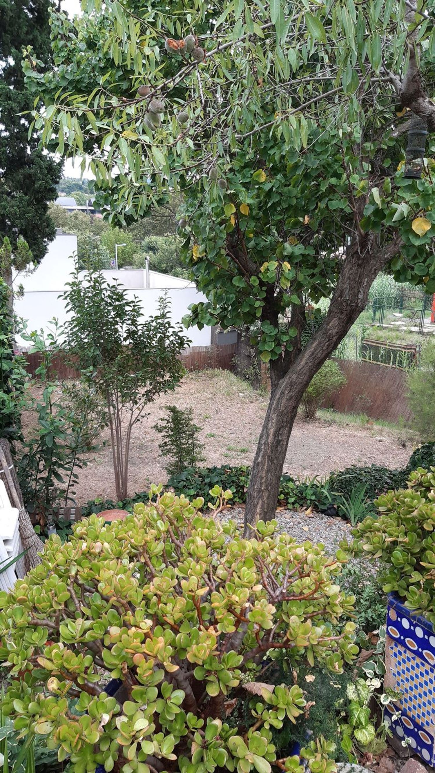 Casa independiente en Can Matas - Foto 4