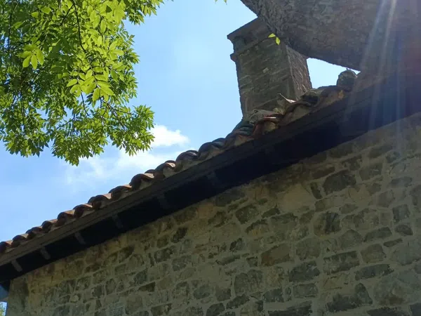 Finca rústica en Los Payares s/n - Foto 8