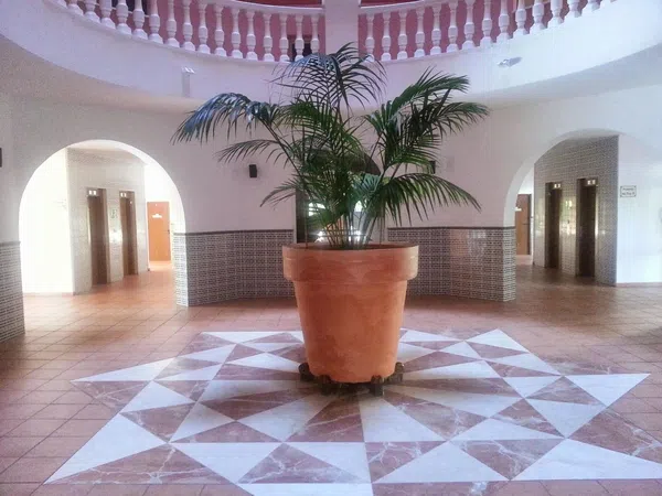 Piso en Avenida Roentgen, 5, Zona los Frutales - Foto 7