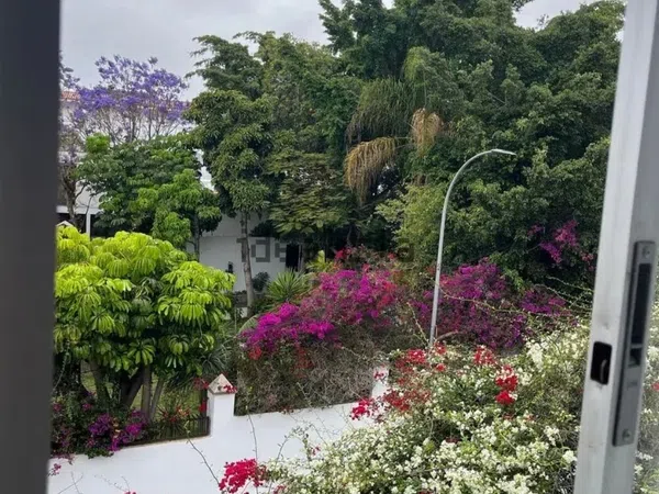 Piso en Calle Emilio Serra Fernández De Moratín, 2, Ifara-Las Mimosas - Foto 5