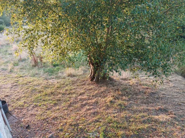 Chalet pareado en Venta de Soto, 13 - Foto 4