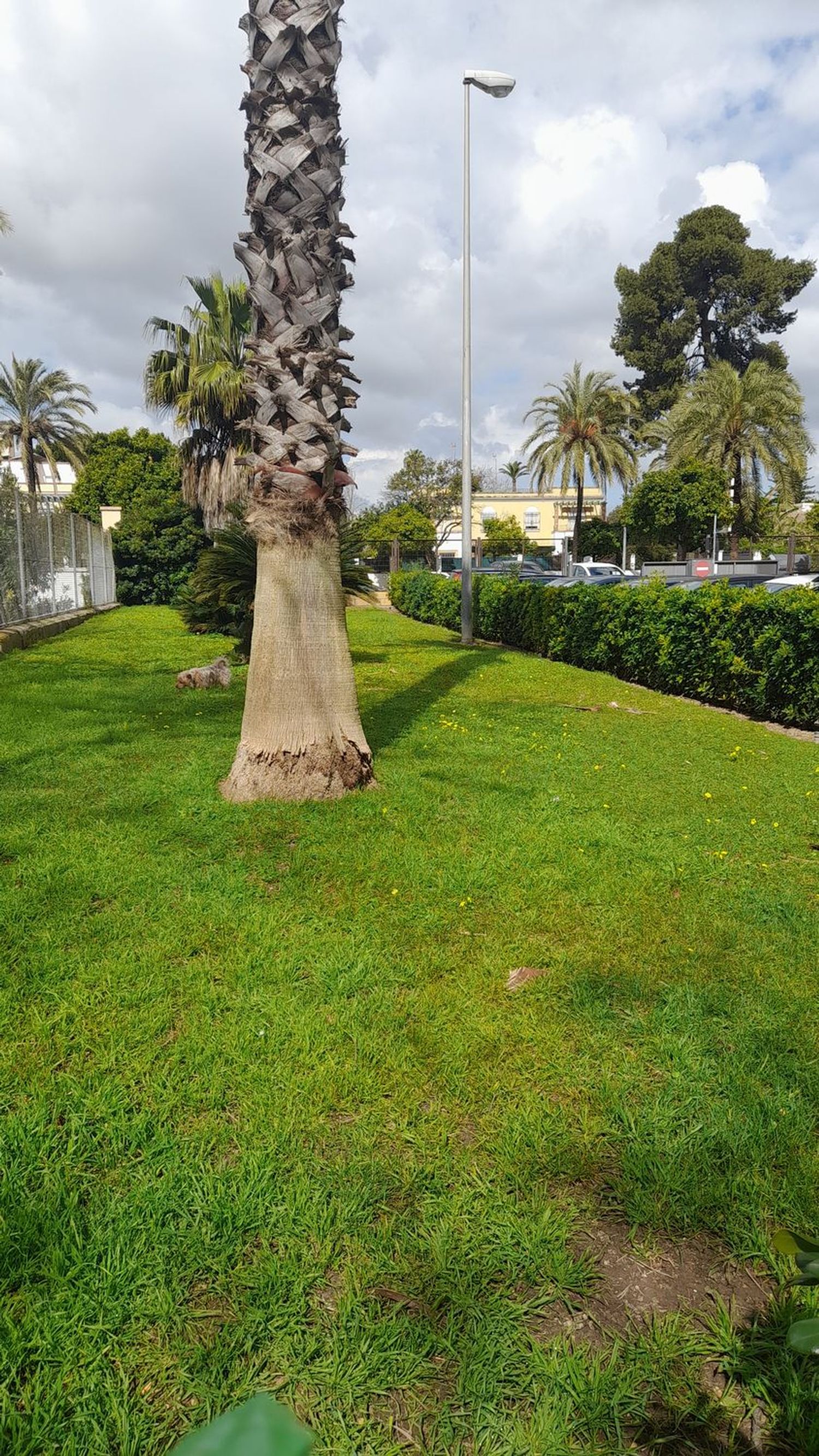 Piso en plaza del Caballo, 1 - Foto 33