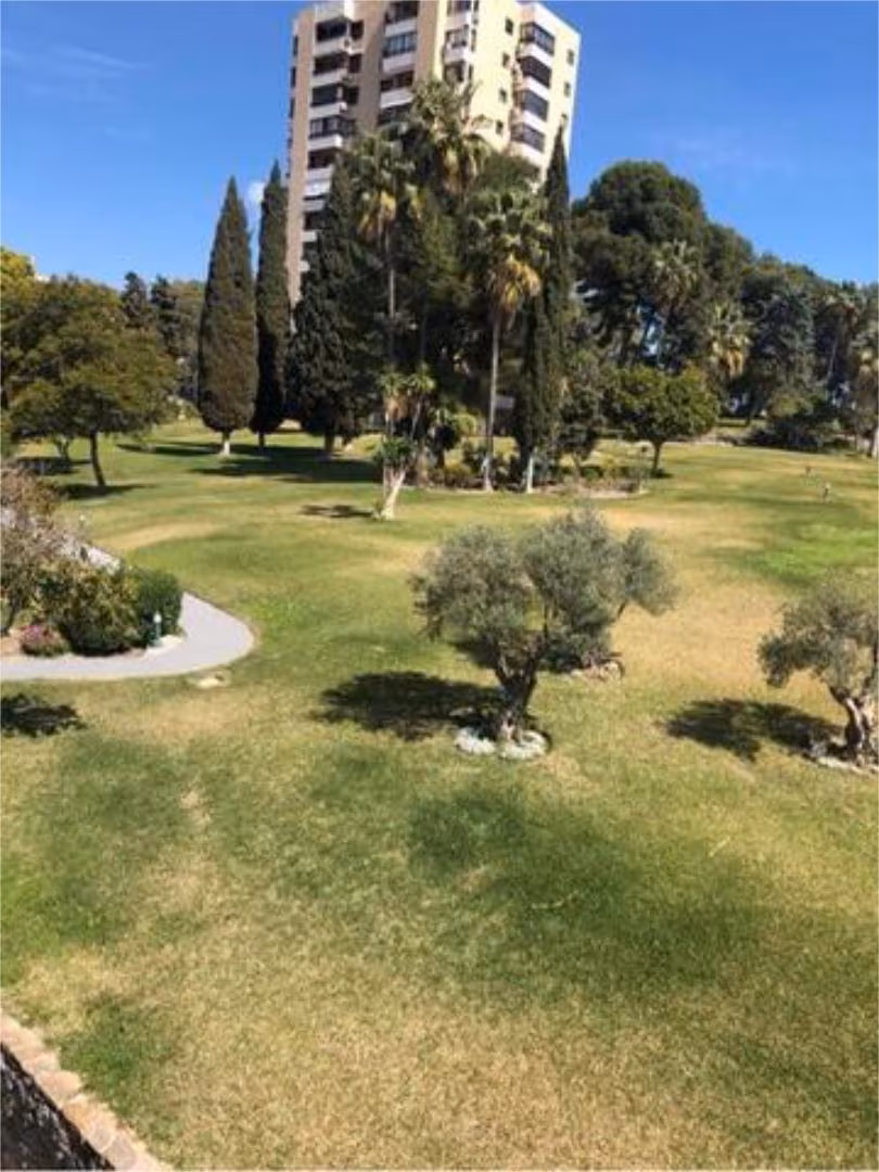 Estudio en Nueva andalucia - Foto 5