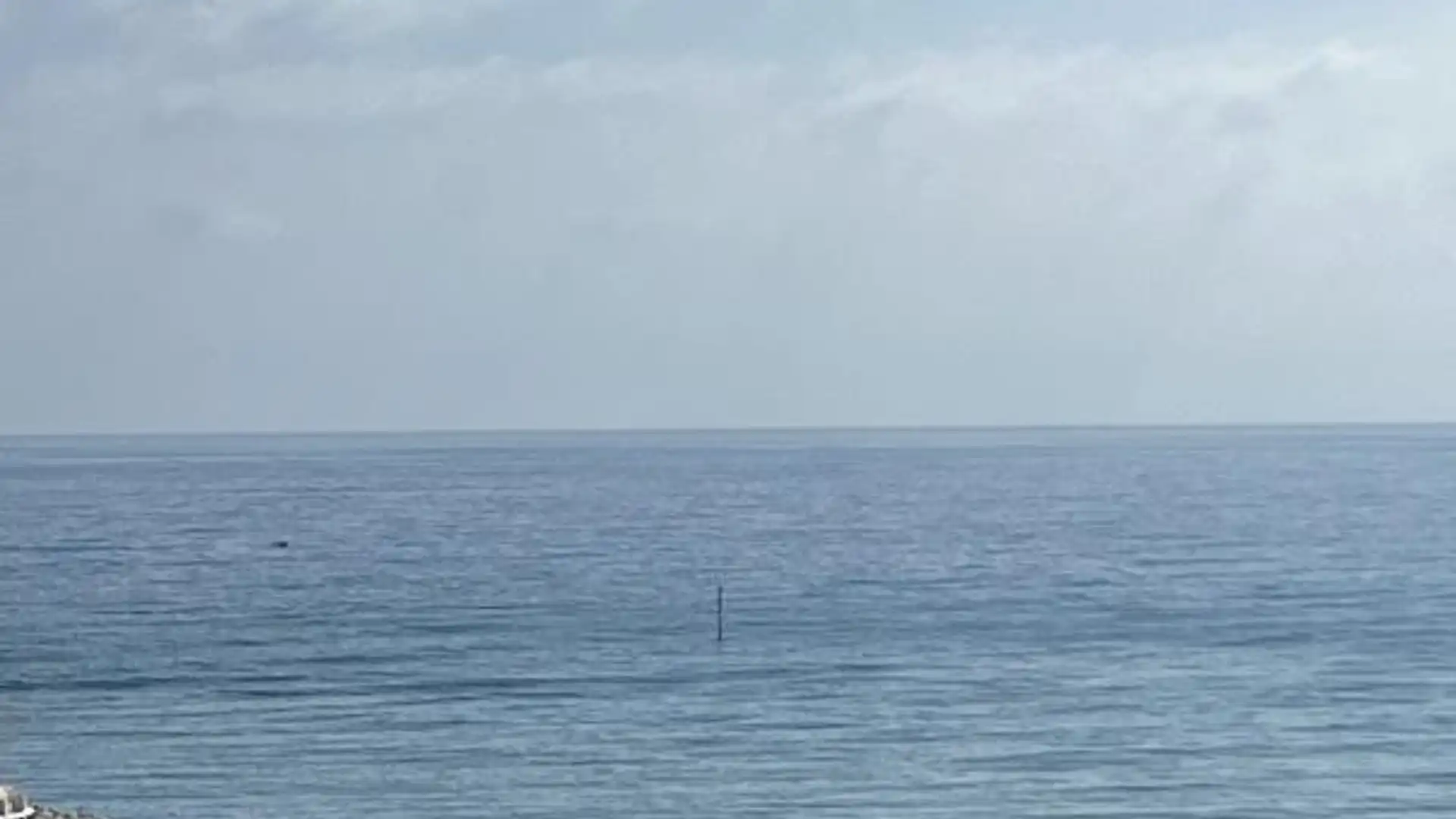 Piso en  Avenida Alay 2 - Foto 9