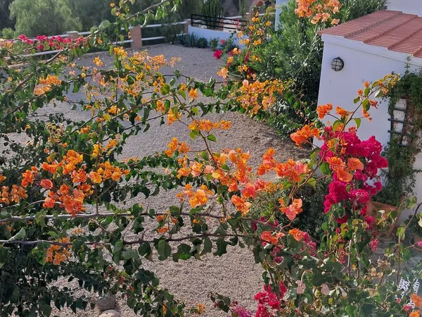Cortijo en Cortijo en Haza Mora s/n - Foto 17