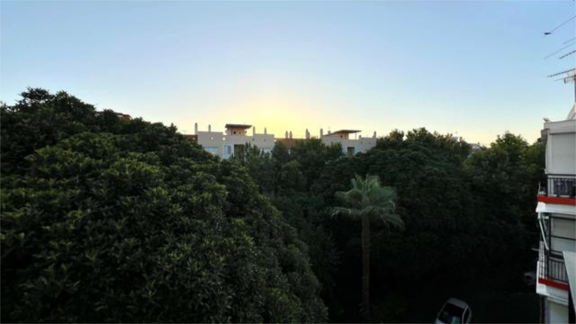 Piso en Triana - Foto 7