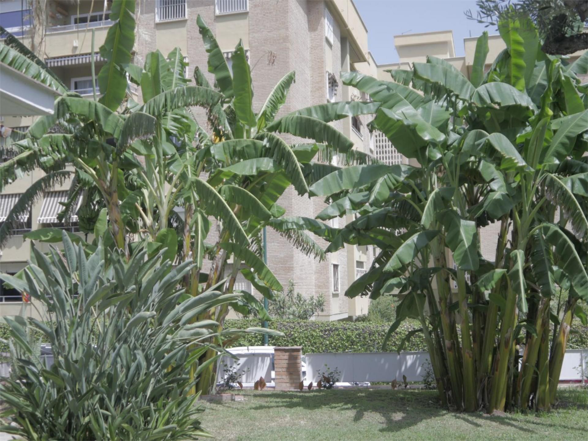 Chalet en  Calle Don Diego de Miranda 6 - Foto 5