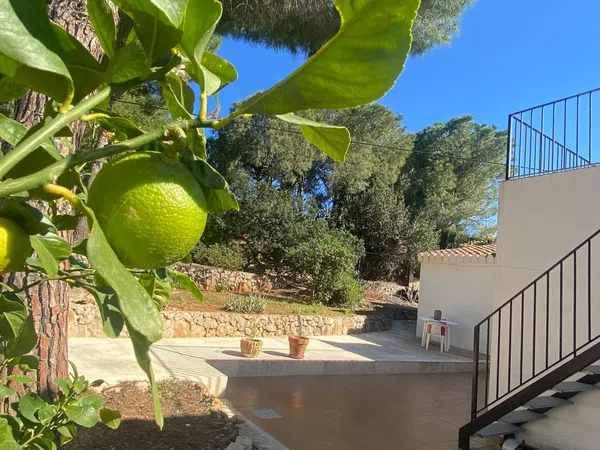 Casa o chalet independiente en Carretera de Dénia a Xábia, 114 - Foto 33