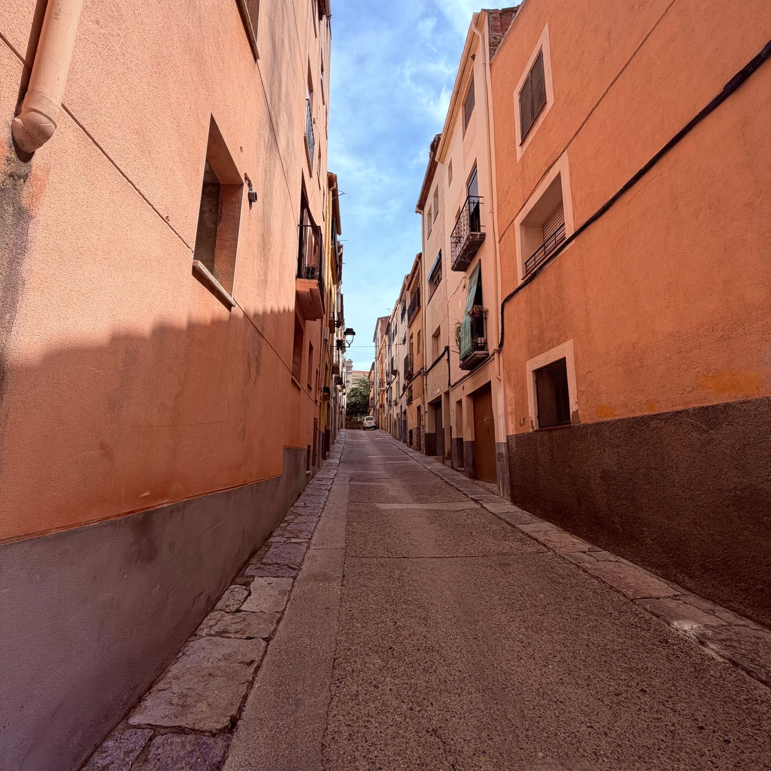 Casa de pueblo en Calle d'Hermenegild Pallejà, 11 - Foto 4