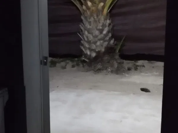 Chalet adosado en Daimes, 1 - Foto 2