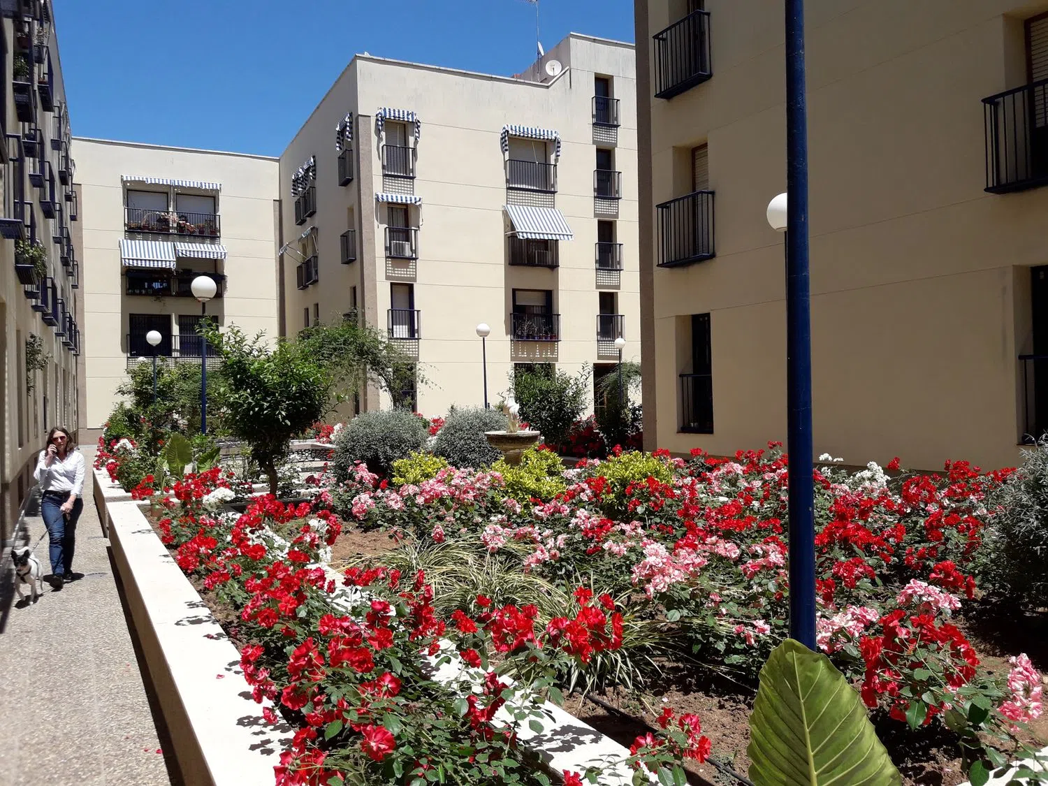 Piso en plaza de San Quintín, 5 - Foto 1