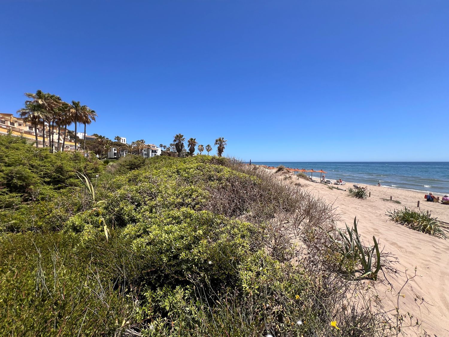 Estudio en Avenida Marbella Arbolada, 2, Romana Playa - Foto 4