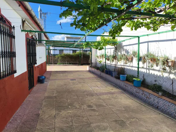 Casa o chalet independiente en Pago de la Fraila & Comunidad Los Chopos s/n - Foto 14