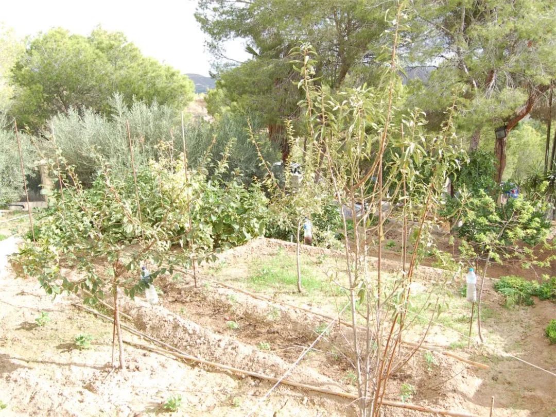 Chalet en  Urbanización la Pinada 37 - Foto 43