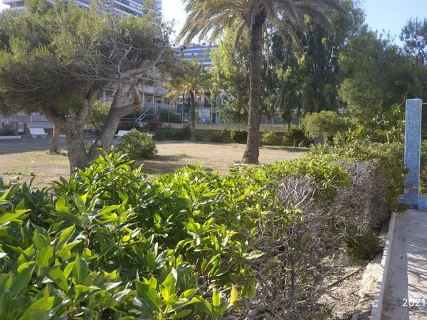 Piso en Avenida de la Costa Blanca, 146, Playa de San Juan - Foto 19