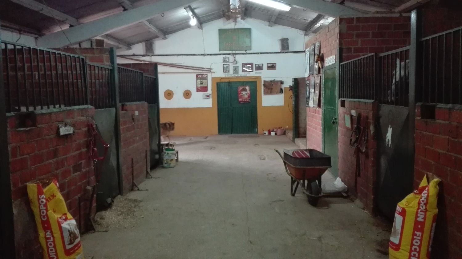 Finca rústica en Carretera de Ossa de Montiel s/n - Foto 8