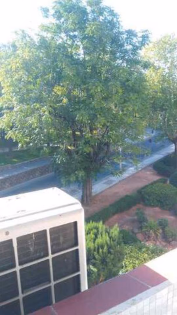 Piso en Parque Cruz Conde - Foto 7
