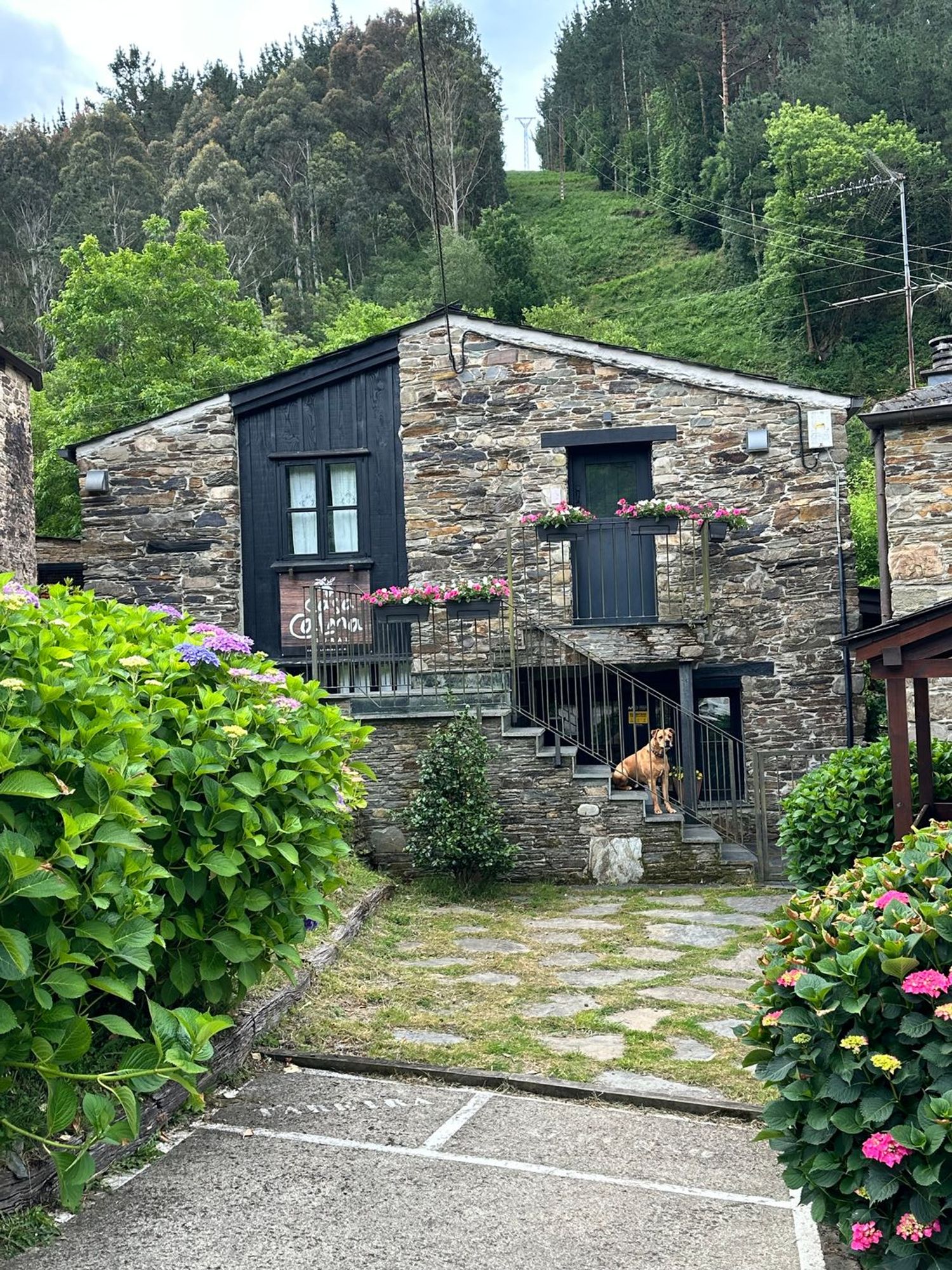 Casa rural en 33775 Vega de Zarza, Asturias, 14 - Foto 40
