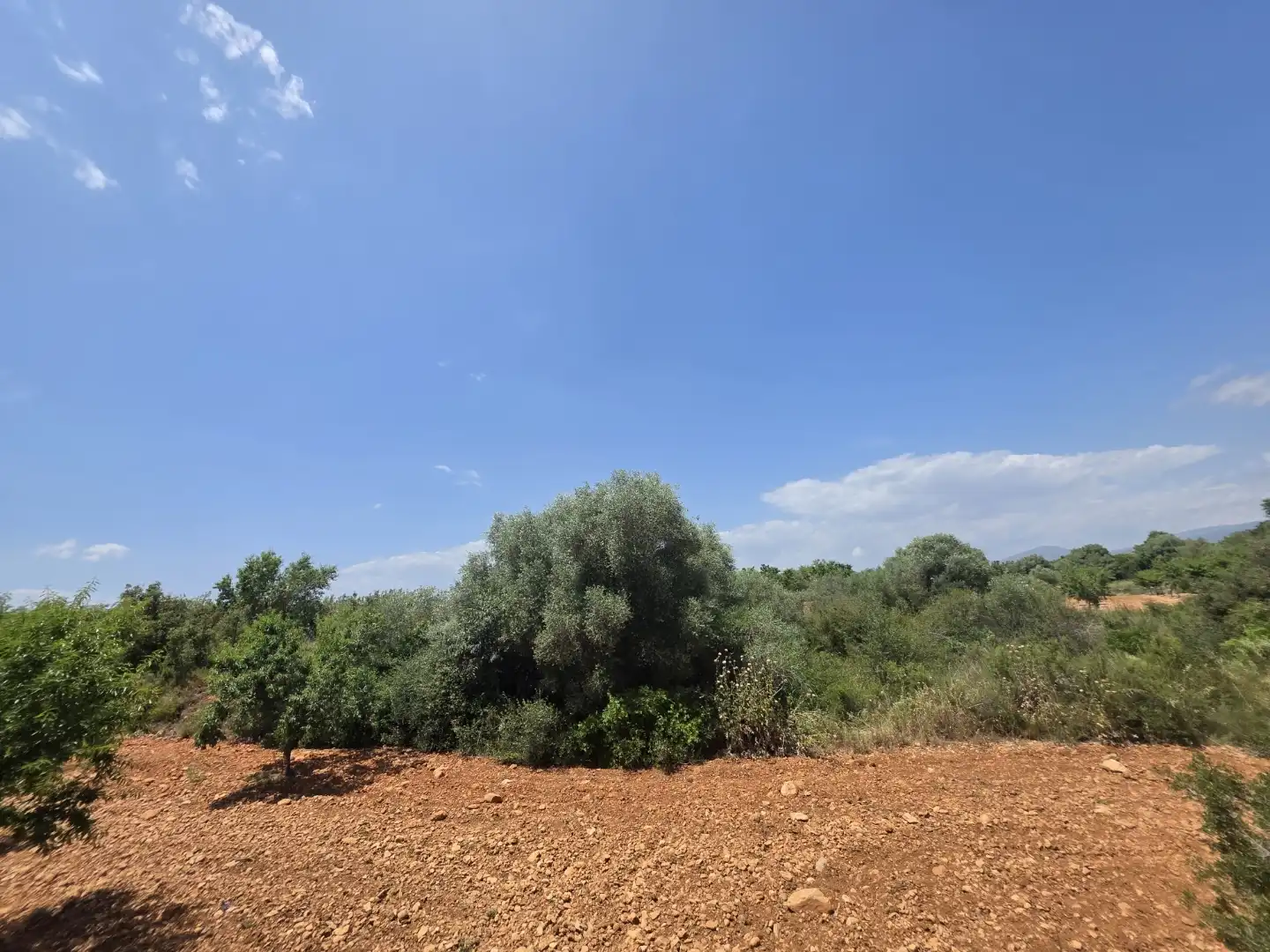 Finca rústica en  Masia els Michans 1 - Foto 4