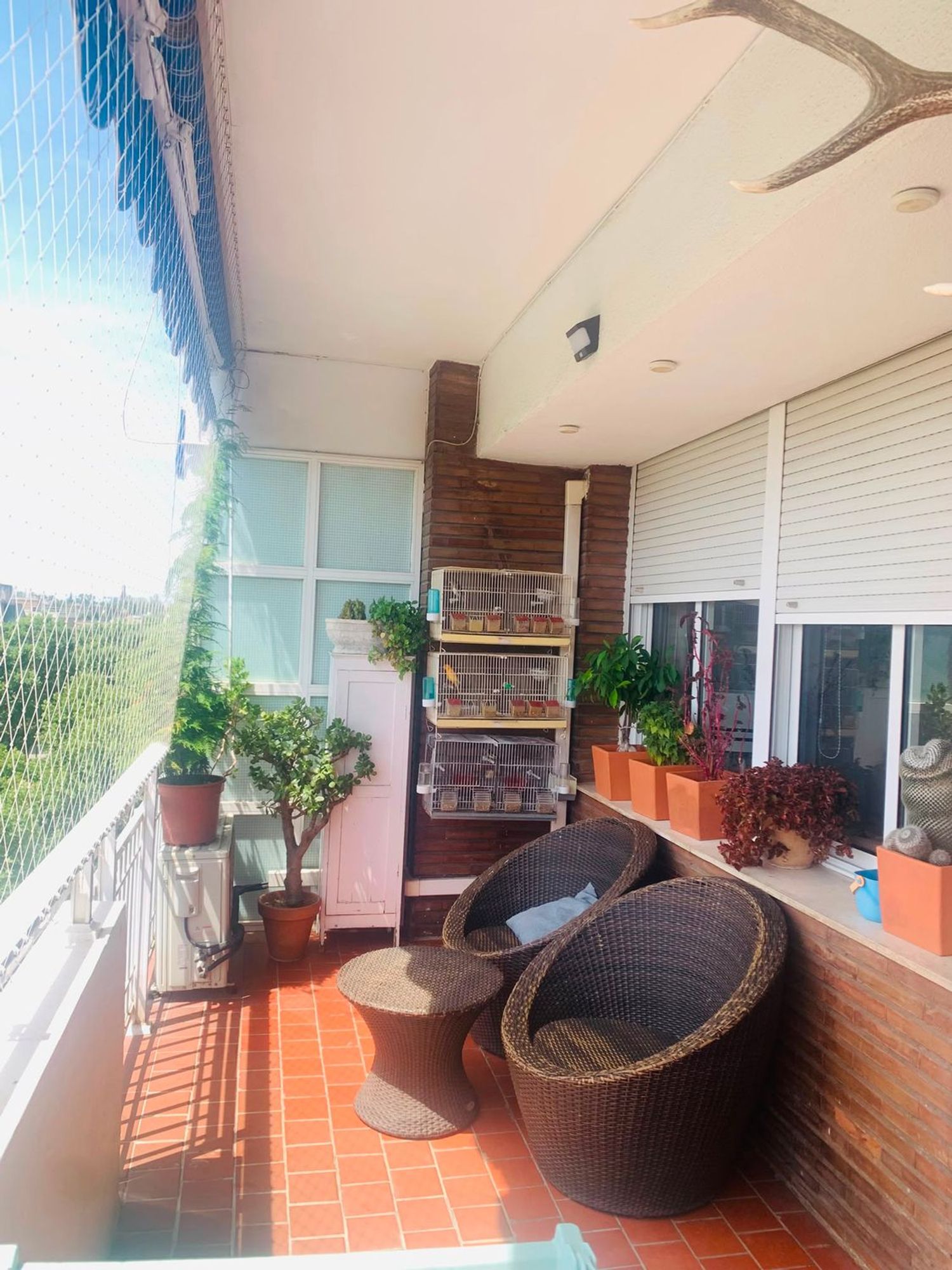 Piso en Avenida de la Reina Mercedes, 19, Reina Mercedes - Heliópolis - Foto 7
