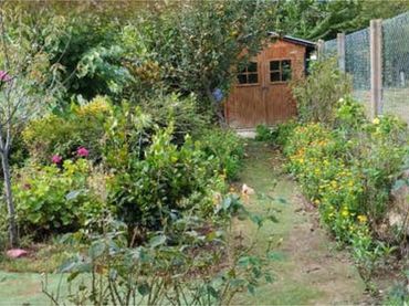 Piso en Carretera general - Foto 3