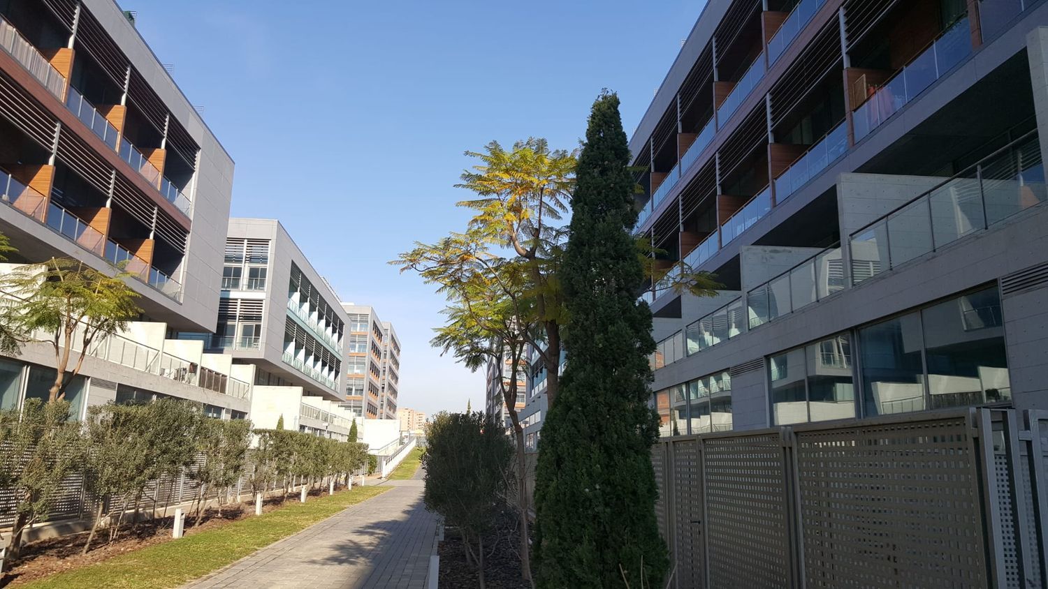 Estudio en Calle d'Andrés Segovia, Barrio de la Luz, Barrio de la Luz - Foto 2