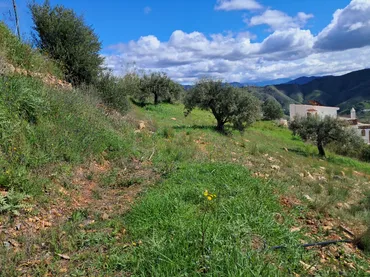 Finca rústica en  Diseminado el Cerval Pol 15 34B - Foto 11