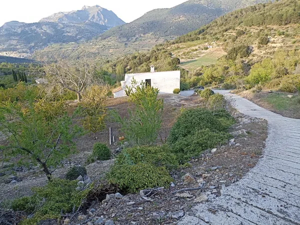 Cortijo en Carretera Fuenmayor s/n - Foto 1