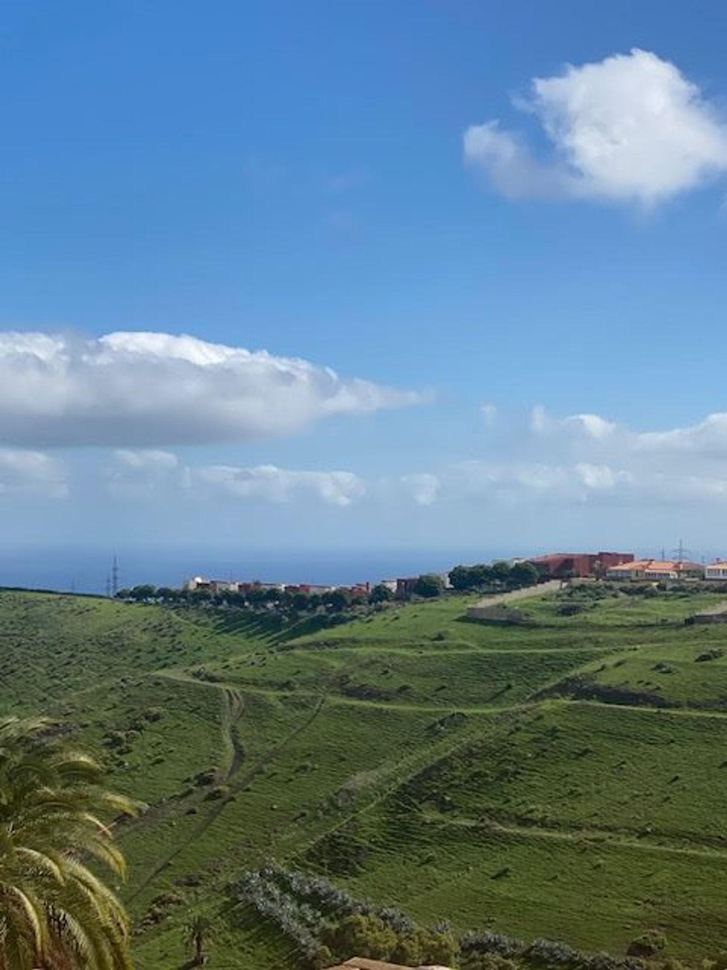 Dúplex en Camilo Jose Cela, 2 - Foto 33