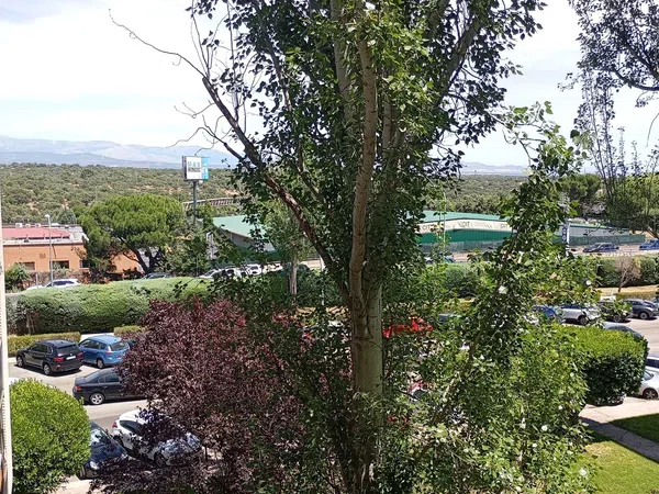 Piso en Carretera de El Plantío, 124, Zona Carretera del Plantío - Foto 17