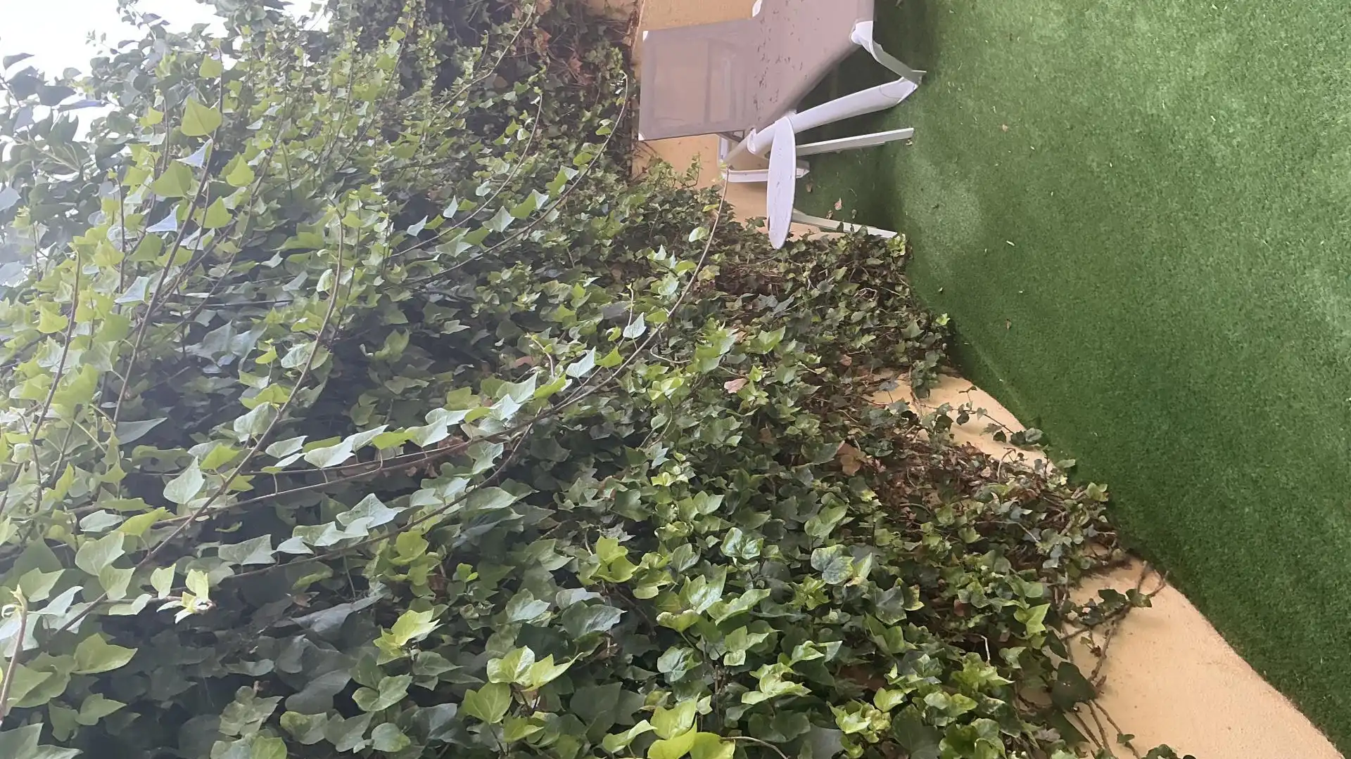 Dúplex en  Calle Alfonso de Armas Ayala 23 - Foto 3