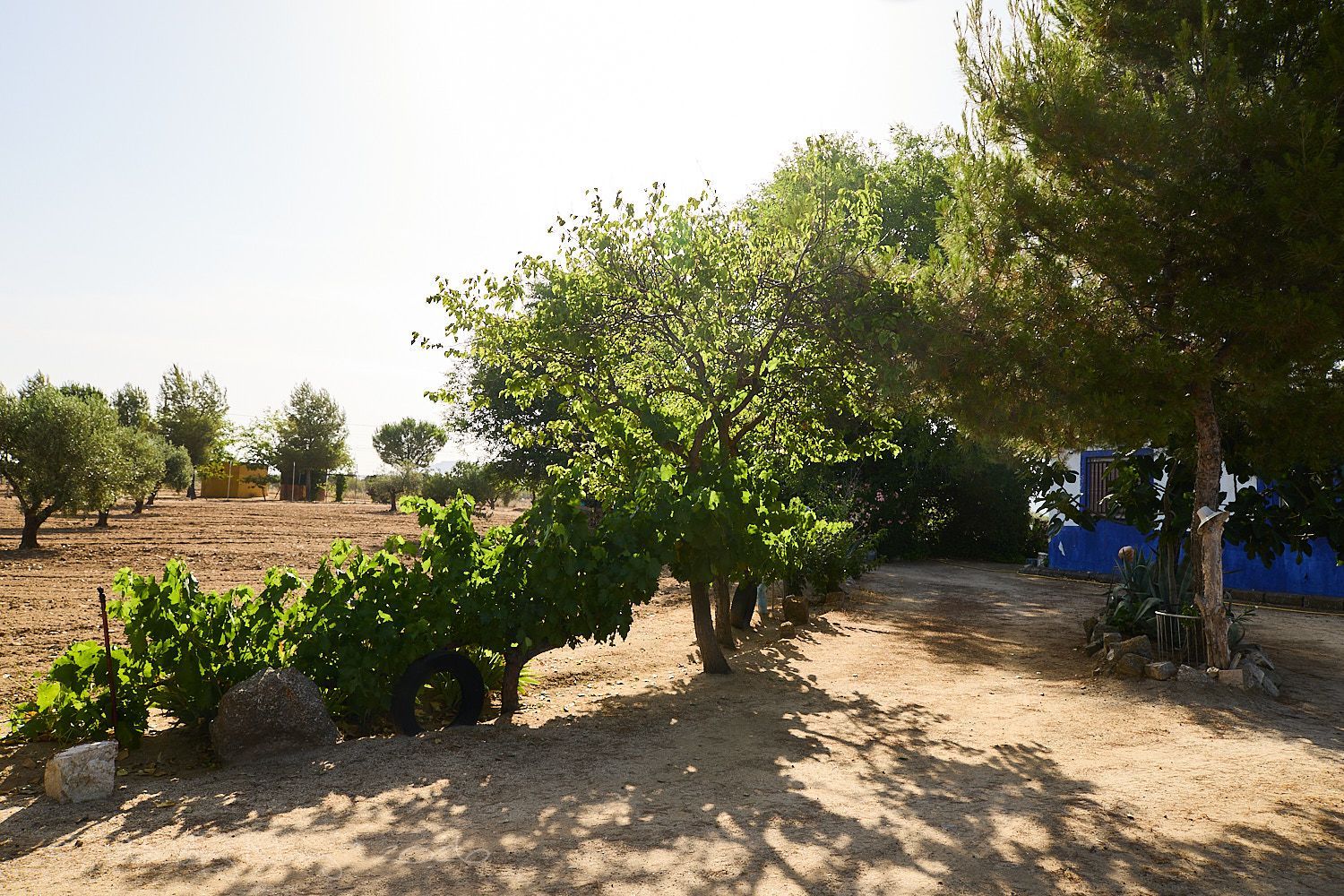 Finca rústica en Camino de la Mata s/n - Foto 8