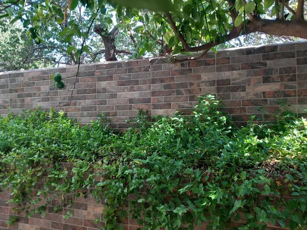 Casa de pueblo en Calle la Jara, 3 - Foto 9