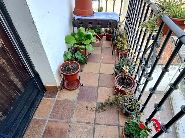 Dúplex en Calle d Pascual Pérez Oñate, 14 - Foto 13